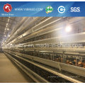 H Type Chicken Cages Poultry Equipment